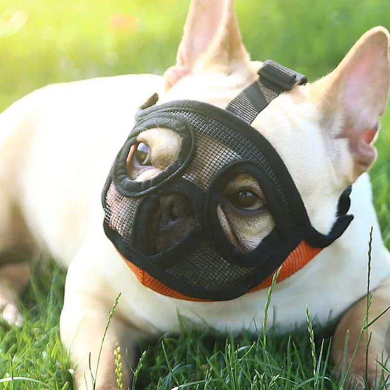 Museruola Regolabile per Cani, Maschera Traspirante per Bulldog Francese, Anti-abbaio e Anti-morso