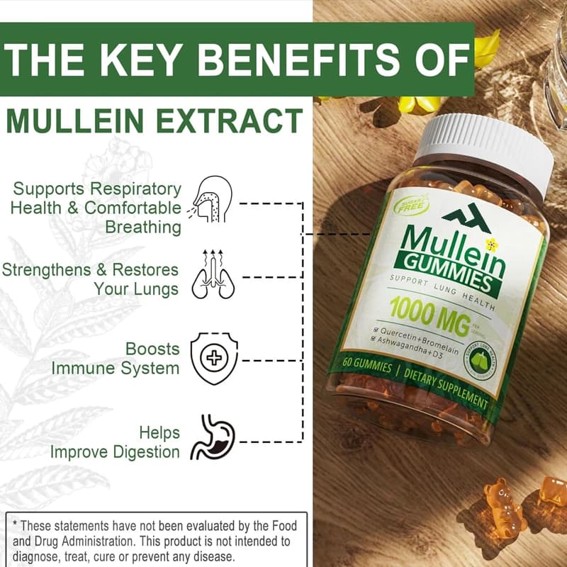 Mullein pulmonary lobe extract, used as a pulmonary cleanser for the respiratory system, for digestive support, vegetarian