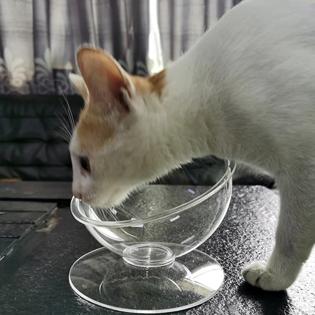 Ciotola per Animali Domestici in Acrilico con Design Inclinato per Protezione del Collo, Contenitore Rialzato e Stabile per Cibo e Acqua per Gatti