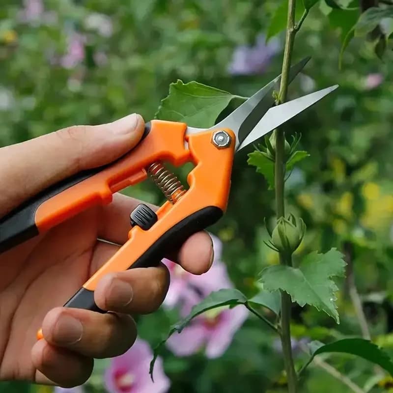 1 Set, garden scissors, garden pruning scissors, flower branch shears for non-slip labour, fruit and vegetable shears