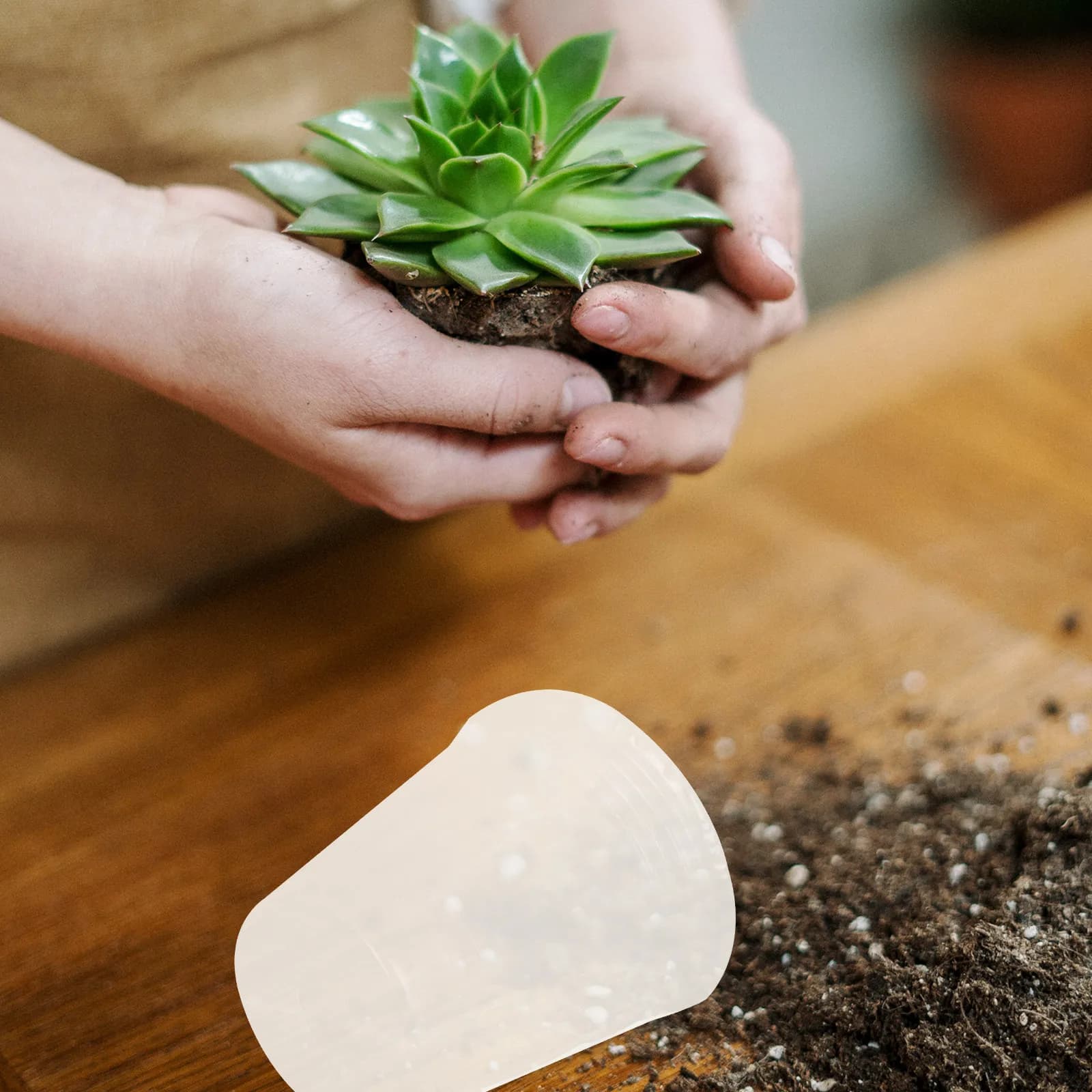 50 Pezzi di Vasetti Trasparenti in Plastica per Semina, Giardinaggio Interno ed Esterno, Clonazione di Fiori e Verdure, Umidificazione