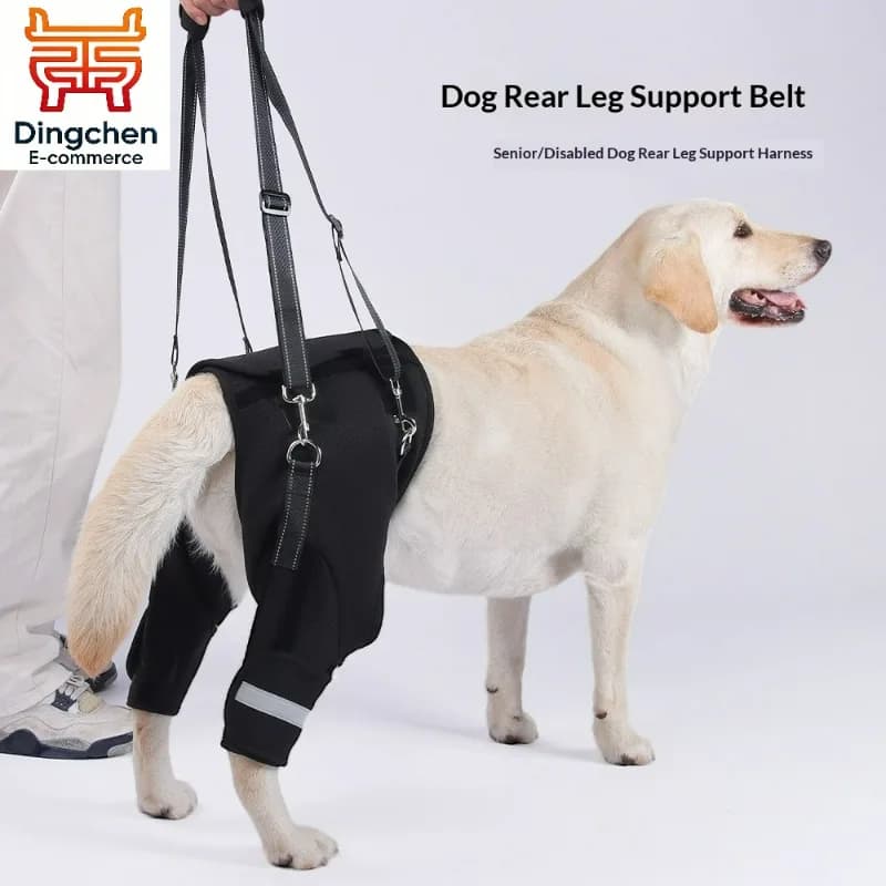 Imbracatura di Supporto per Zampe Posteriori di Cani Anziani e Disabili, con Corda di Trazione e Sollevamento per Riabilitazione e Viaggio