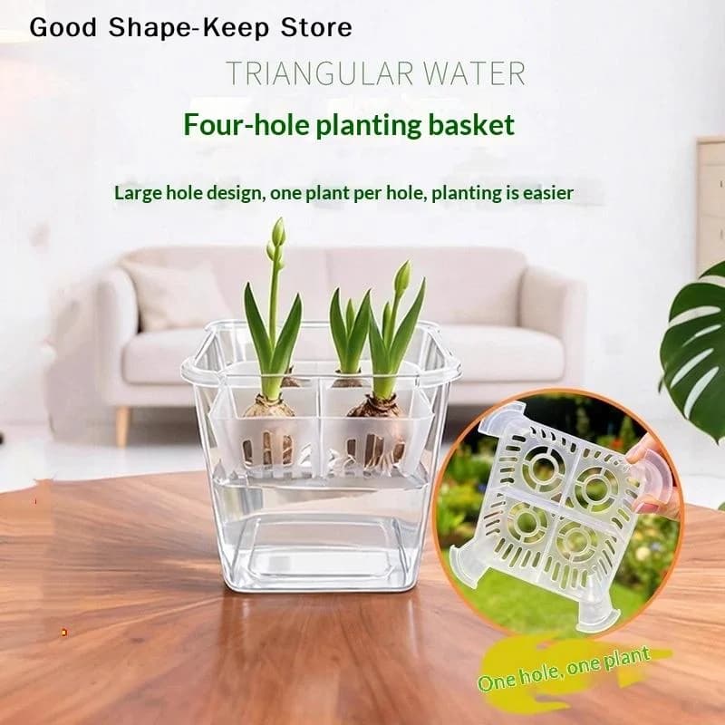 4 Holes Hydroponic Flower Pot, Home Decoration, Hydroponic Containers with Breathable Support Basket, Tulip Semi Jar
