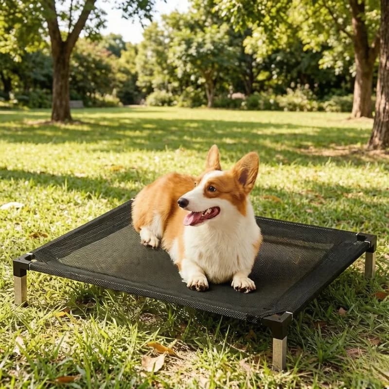 Cuccia per Cani Rimovibile e Lavabile per Tutte le Stagioni, Letto Rialzato Impermeabile per Animali Domestici