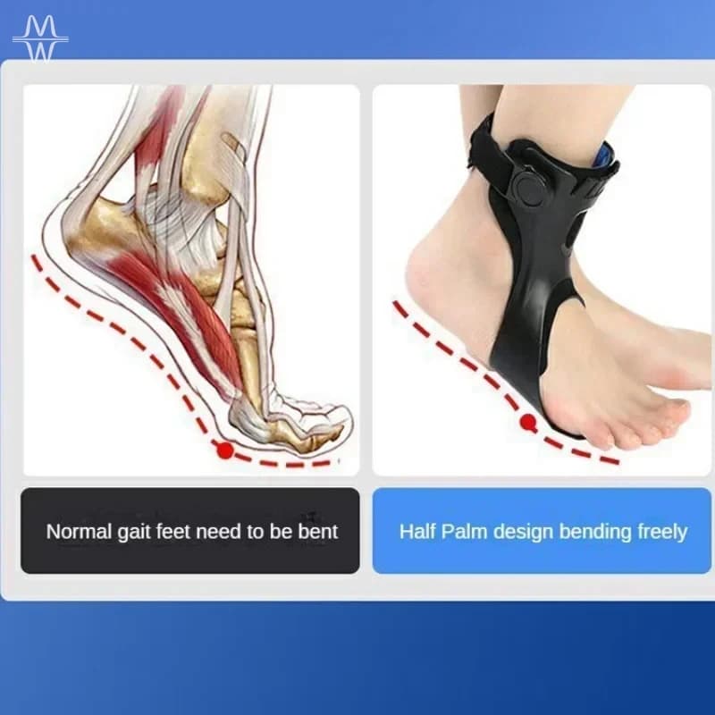 Comfort Adjustable Buckle AFO Drop Foot Orthosis Ankle Support Brace Fit Daily Walking Shoes Stroke Hemiplegia Aid
