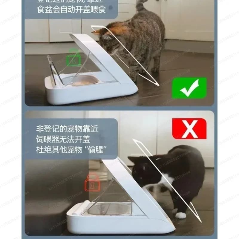 Distributore Automatico di Cibo per Gatti con Riconoscimento Microchip, Ciotola Intelligente per Alimenti Umidi con Conservazione Sigillata e Protezione dagli Insetti