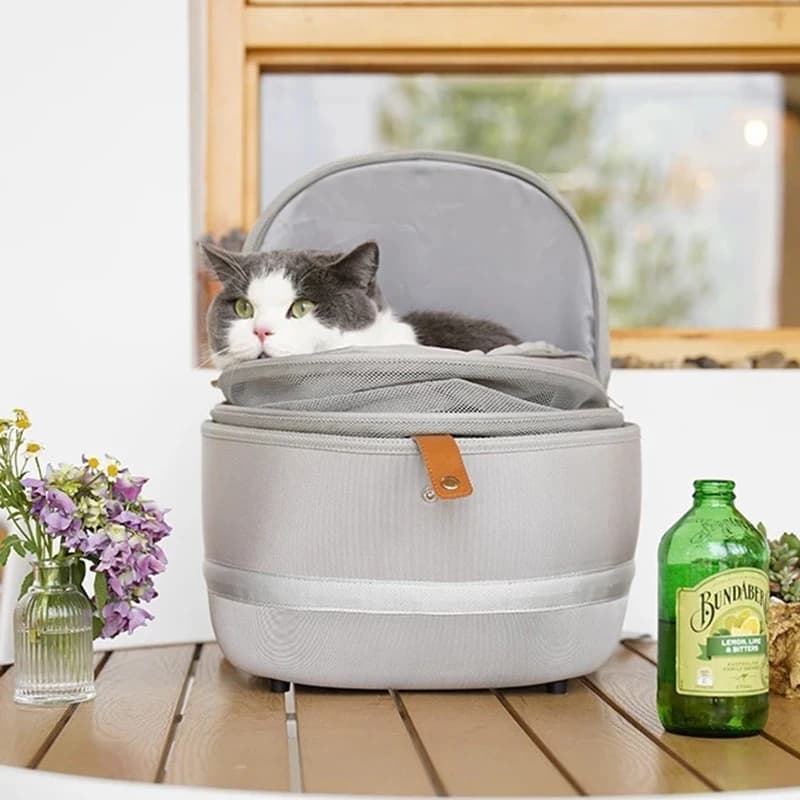 Zaino portatile per gatti per animali domestici Borsa da trasporto per animali pieghevole traspirante impermeabile Zaino da viaggio per esterni per forniture per animali domestici per gatti e cani