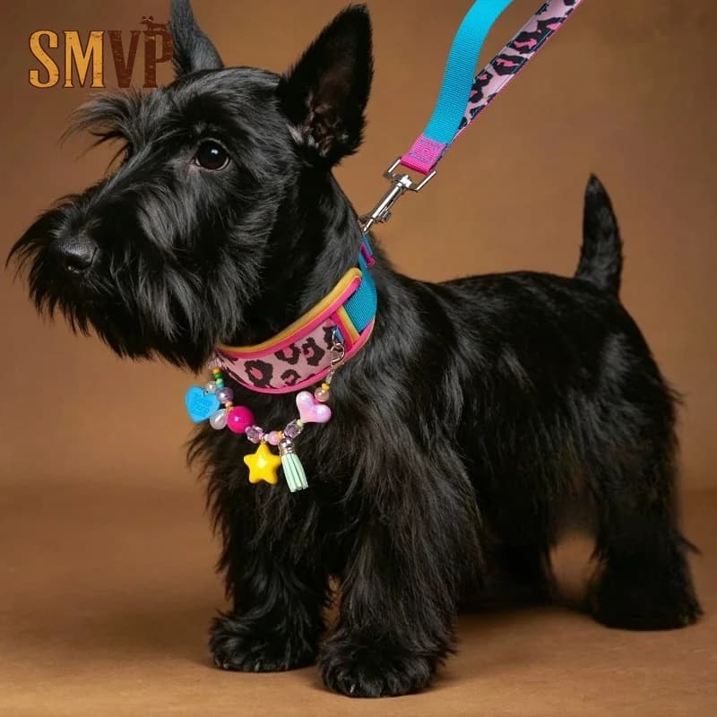 Set Collare e Guinzaglio per Cani con Stampa Leopardata Rosa e Blu, Collare Imbottito Morbido Protettivo per Cani Piccoli, Kit da Passeggio per Animali Domestici in Colori Dopamina