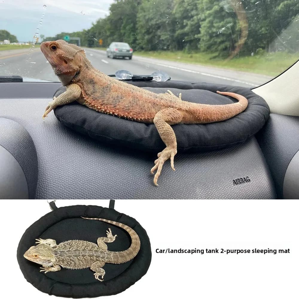 accessories for pets lizard gecko guinea pig rabbit hamster car sack with reptile fur double purpose mat bed pig cage in India
