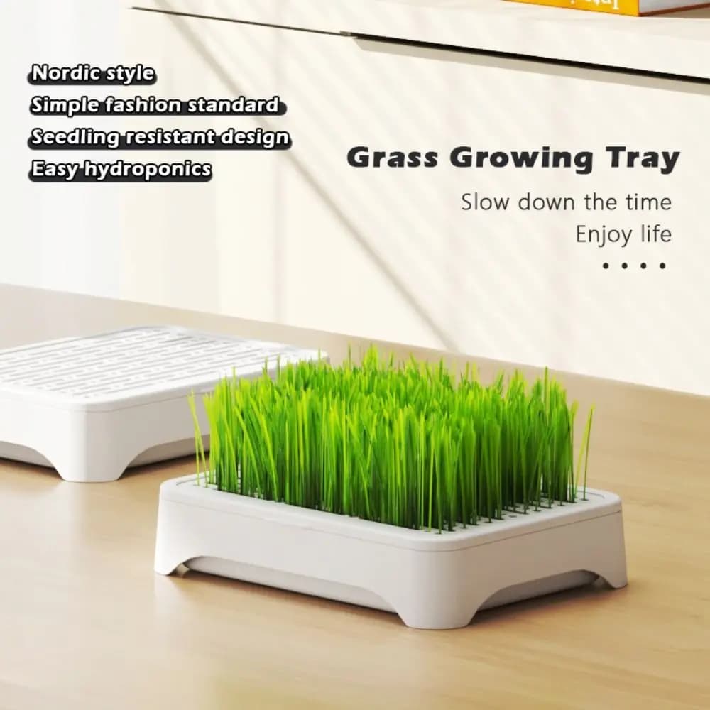 Plastic Hydroponic Seed Tray, Reusable, Watering Car, Cat Grass Jar, Multifunctional Planter for Growth, Garden Accessories