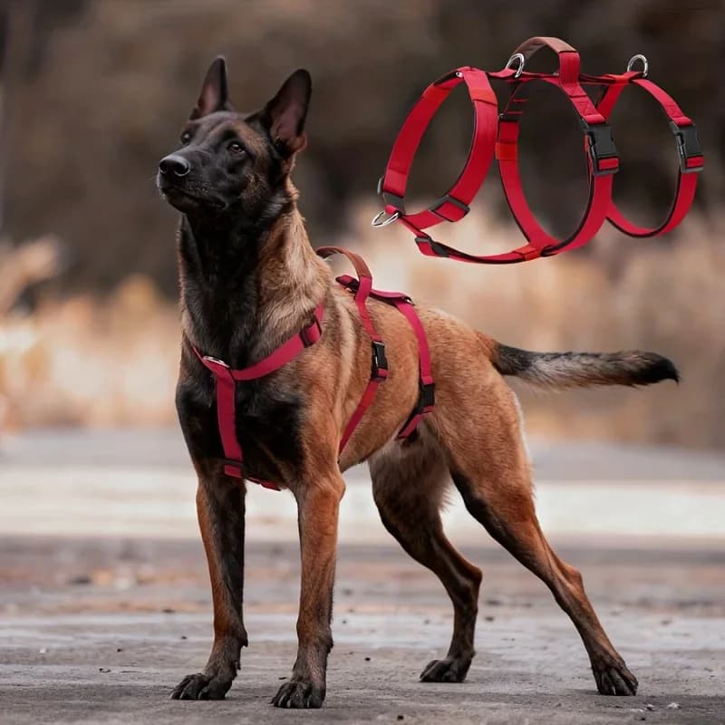 Gilet per cani regolabile a prova di fuga con cinghia per la pancia, imbracatura tattica per esterni per cani di taglia media e grande, allenamento imbottito traspirante
