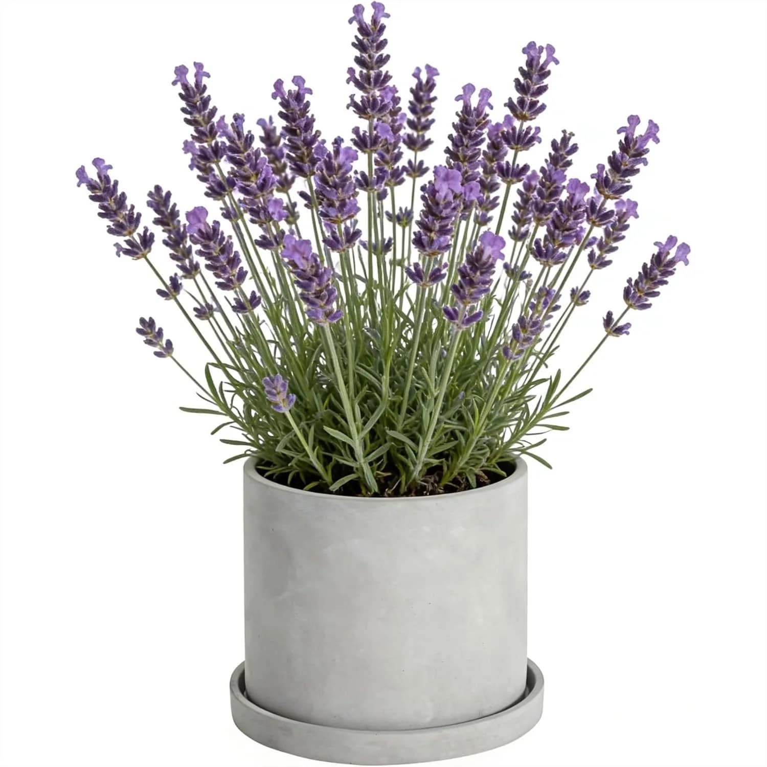 Vaso per Piante in Cemento da 7 Pollici con Foro di Drenaggio e Sottovaso, Moderno Contenitore in Calcestruzzo per Piante Succulente da Interno, Decorazione per Casa e Giardino