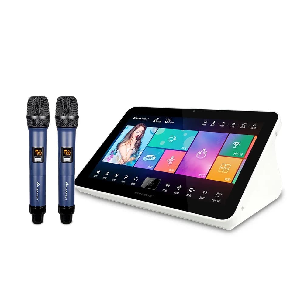 InAndOn Set macchina per karaoke da 15,6" HDD da 4 TB Macchina per lettore KTV cinque in uno con microfono wireless Set karaoke professionale