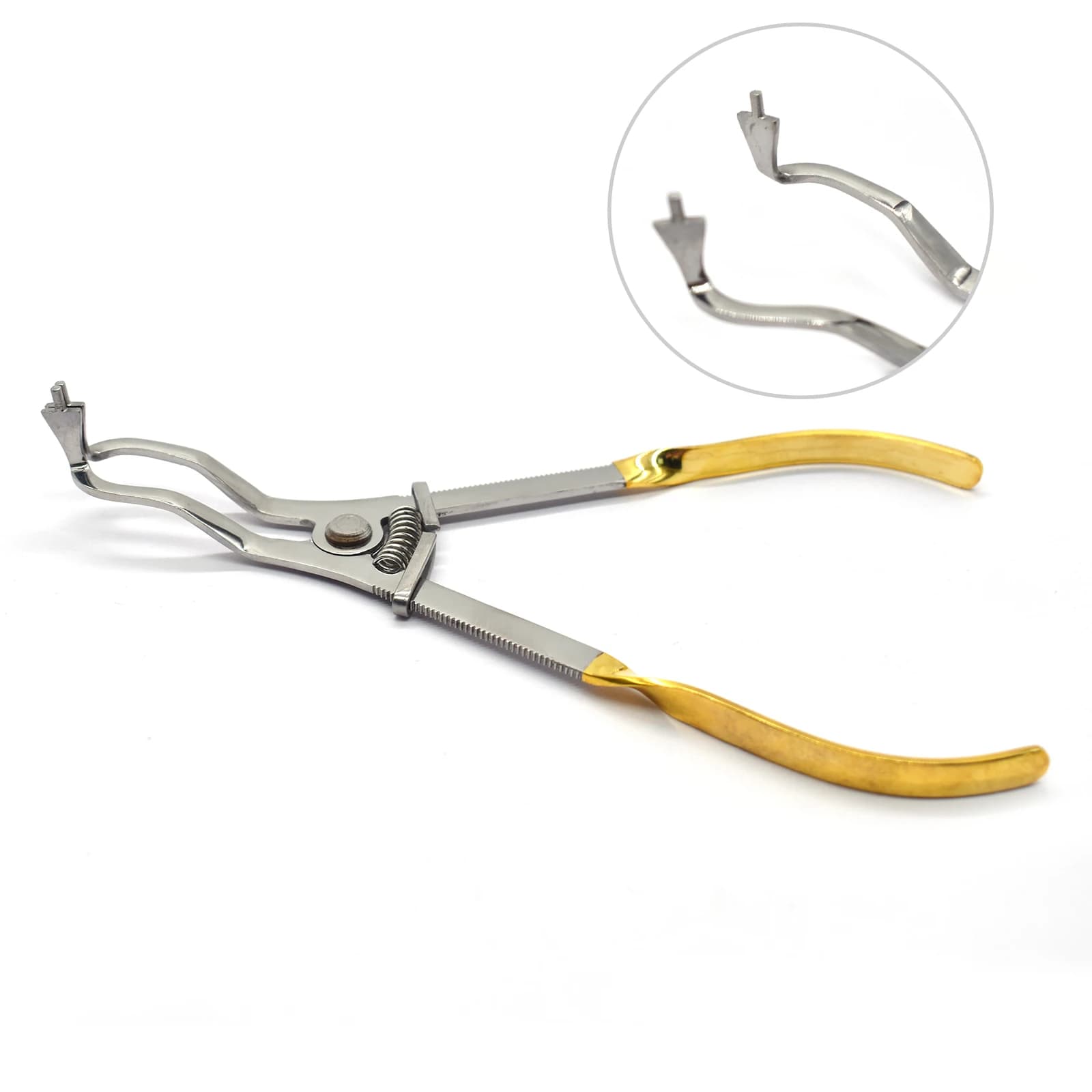 Morsetti per diga in gomma dentale Pinza per morsetto avorio Morsetto per avorio leggero Strumenti per restauro dentale in acciaio inossidabile