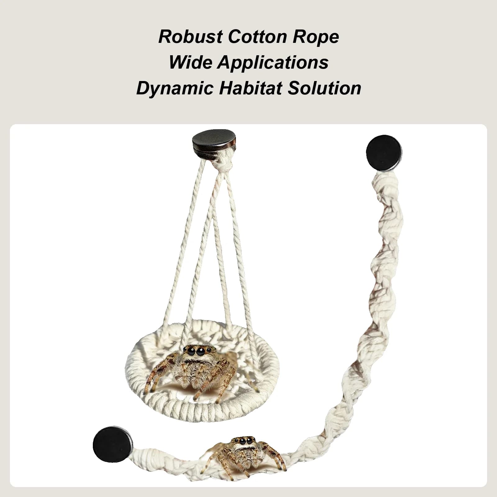 Jumping spider accessories Corda hanging swing Spider Cushion Decor for terrarium Breeding Geckos Rane for trees Hermit Crabs Home