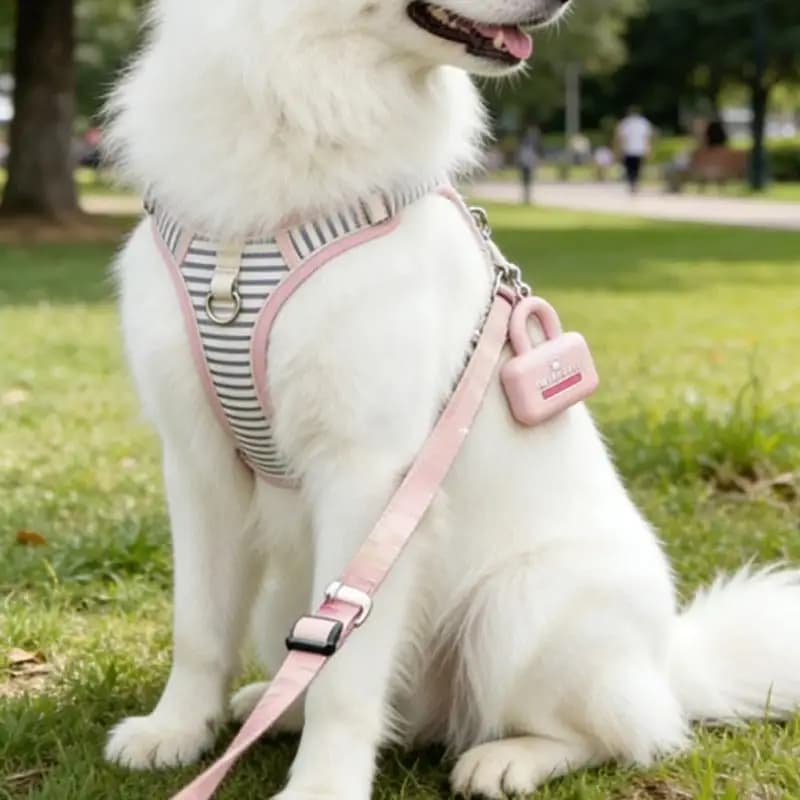 Borsa per rifiuti portatile guinzaglio per cani, scatola morbida, supporto per borsa per cacca, per passeggiate, corsa o per
