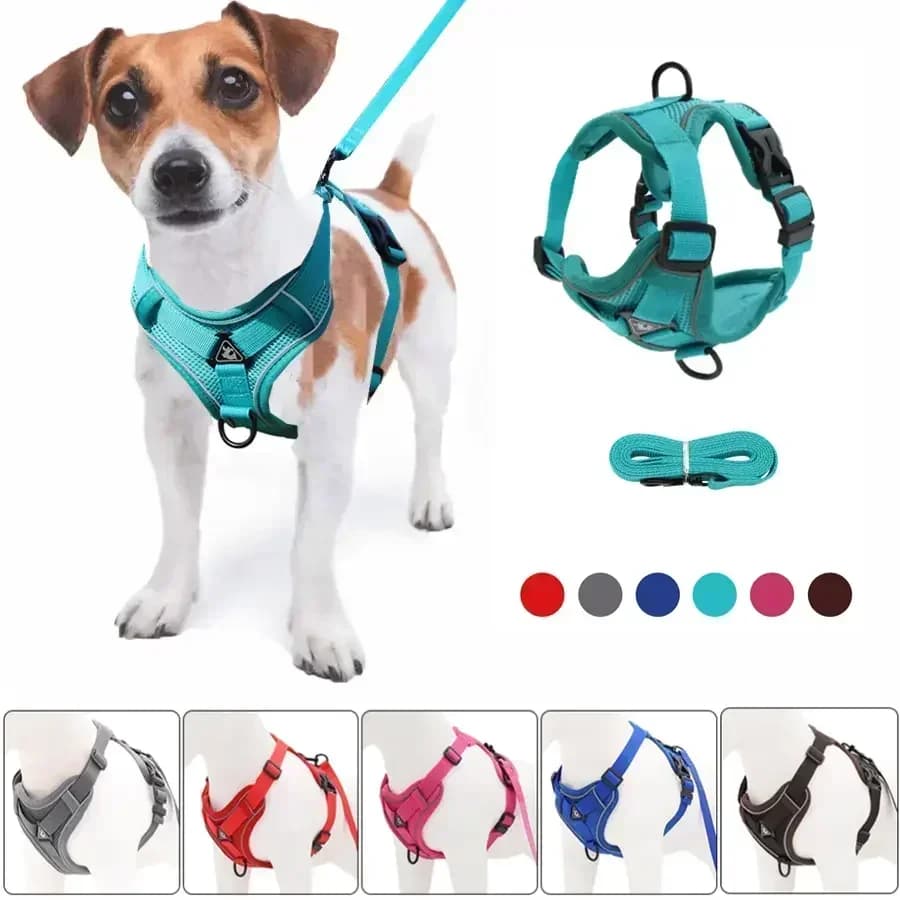 Set Pettorina e Guinzaglio Anti-Trazione per Cani, Pettorina Regolabile per Cani Piccoli e Gatti, Cinghia Toracica Riflettente in Rete per Bulldog Francese