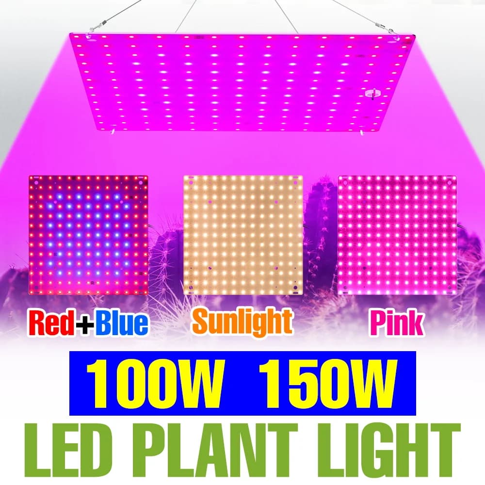 LED Lamp for Indoor Spectro Compact 150W, Quantum Panel for Flowers, Serra Lamp, Fruit Seeds and Vegetables, Spin US/EU