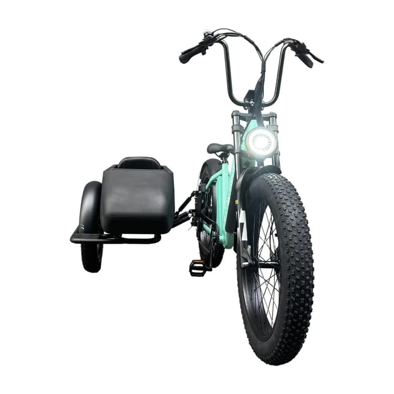 E Bike Side Car Triciclo elettrico per adulti Bicicletta a 3 ruote Ebike Trike da carico elettrico 750w Batteria al litio nascosta Etrike Sidecar