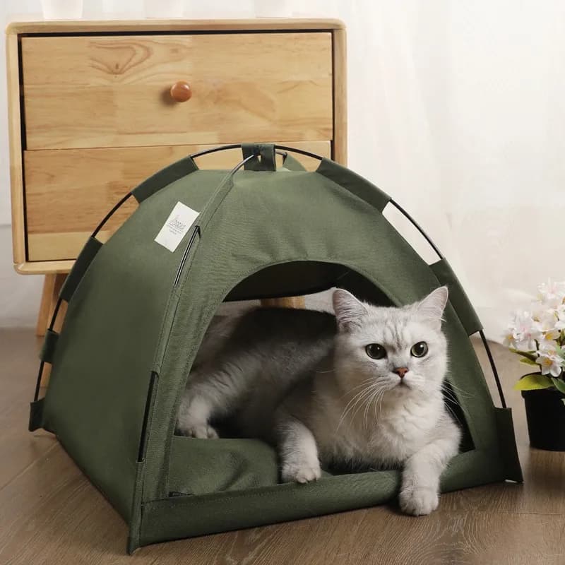 Cuccia Estiva Rinfrescante per Animali Domestici, Tenda Traspirante Monocolore per Gatti, Letto Pieghevole per Animali Domestici, Forniture per Animali, Cuccia per Gatti, Letto per Cani