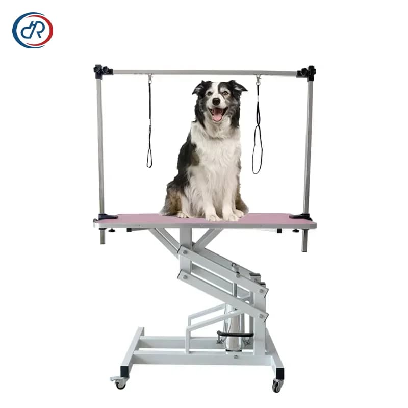 DRH Nuovo Design Tavolo per Toelettatura Animali con Sollevamento Elettrico in Acciaio Inox, Attrezzatura per Salone di Bellezza per Animali