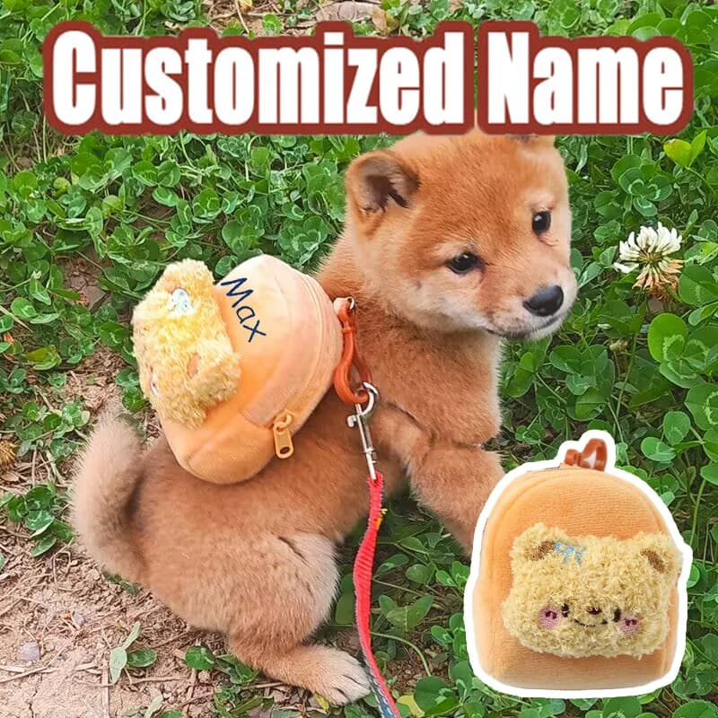 Custom Name Dog Backpack Harness, Cute Bear Pet Backpack with Leash, Adjustable Walking Bag for Small Dogs Cats