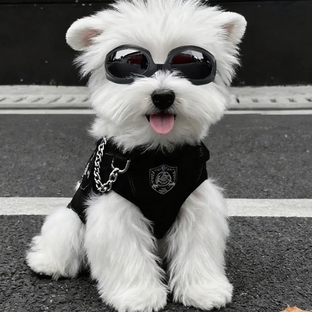 Occhiali da Sole per Cani con Protezione UV400, Design Resistente agli Urti e al Vento, Occhiali Traspiranti e Comodi da Indossare per Animali Domestici