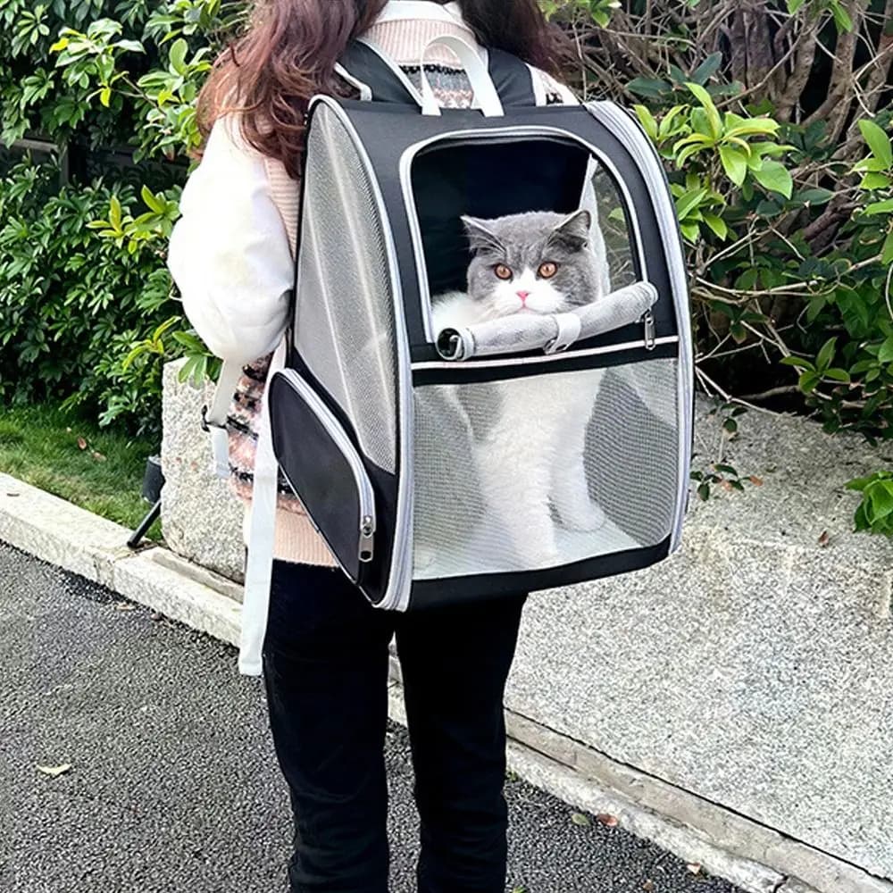 Zaino Trasportino Portatile per Animali Domestici, Borsa da Viaggio Pieghevole Traspirante per Cuccioli, Comoda Borsa Capiente per Gatti, Accessori per Animali