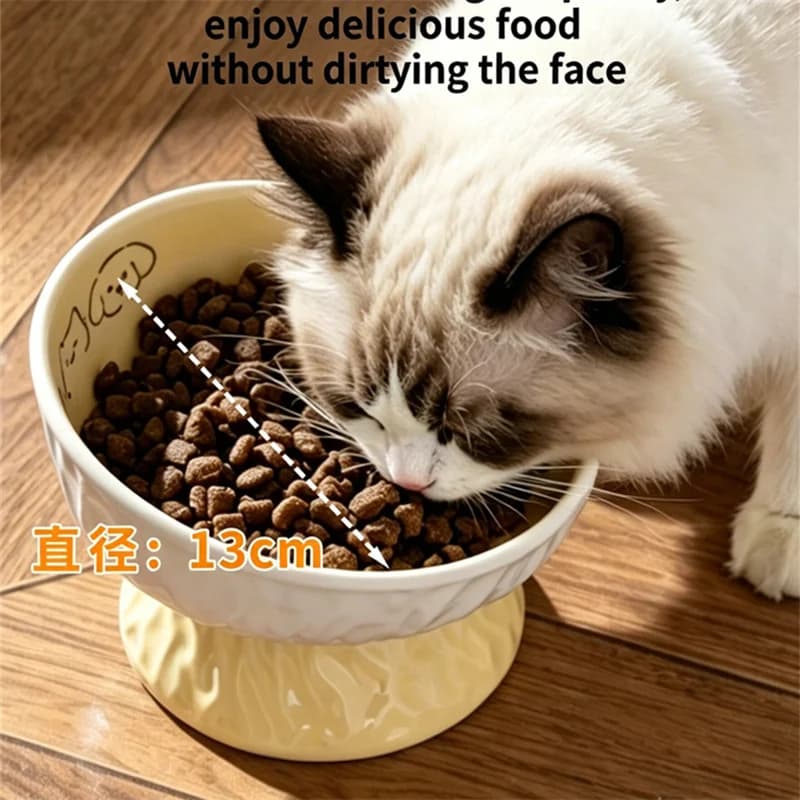 1pc Raised Ceramic Cat Bowl Embossed Texture Anti Slip Pet Feeder Bowl Ergonomic Slanted Food Water Dish for Indoor Cats Puppies