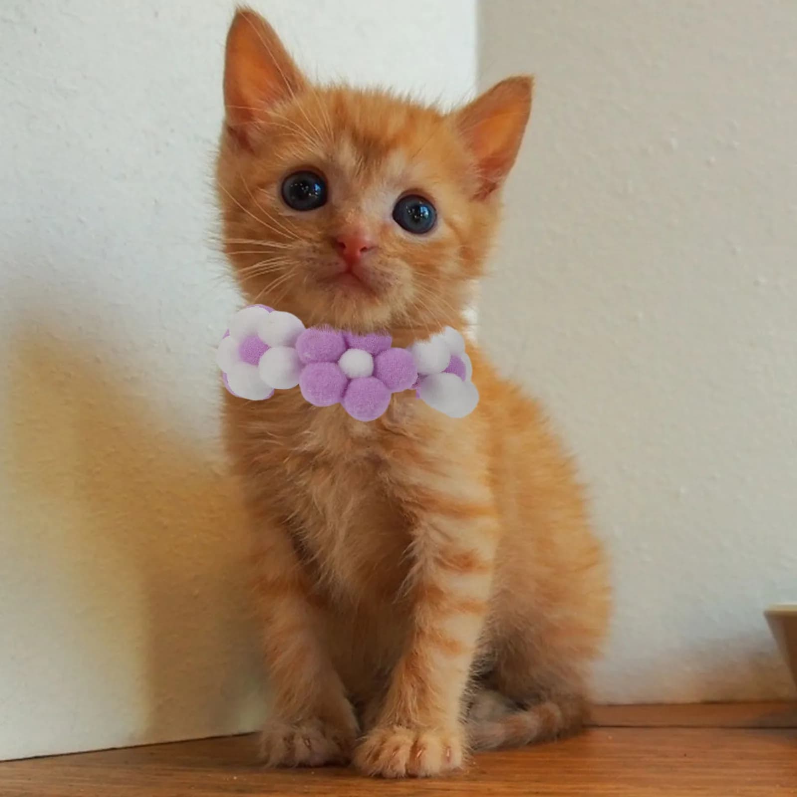 1Pcs Hand Knitted Pet Collar Knitted Collar for Cat Dog Lightweight Adjustable Soft Safe Lovely Fashionable Pet Costume