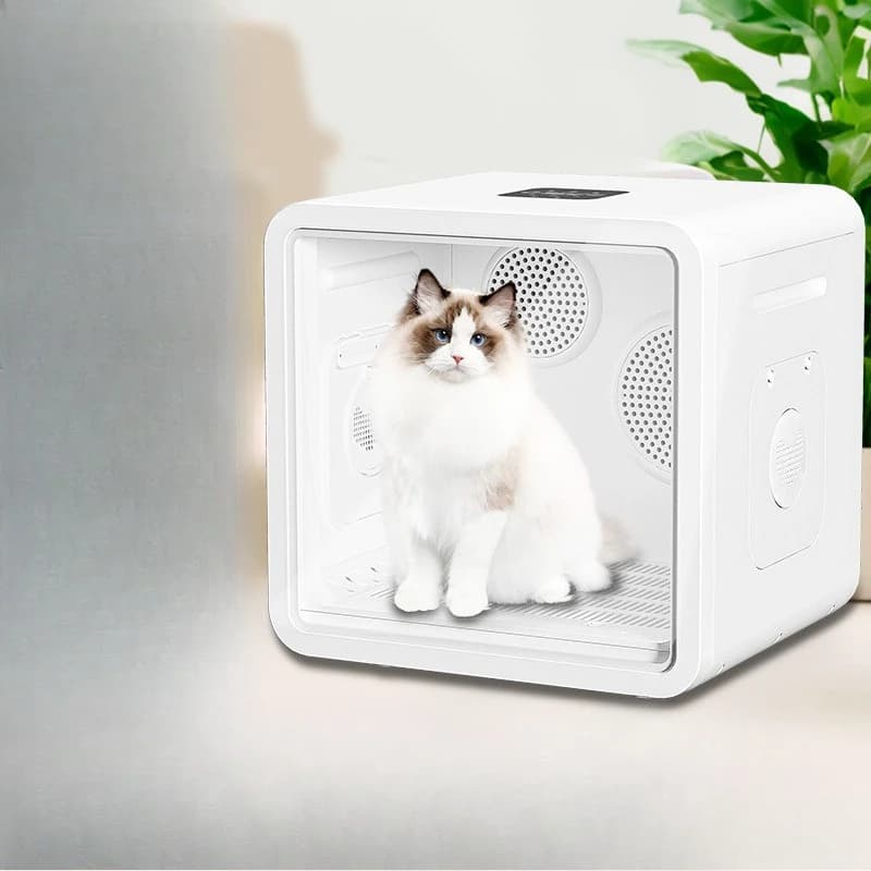 Scatola per asciugare gli animali domestici per gatti Asciugacapelli automatico a doppio motore Asciugatura dei capelli per uso domestico Artefatto che soffia acqua per cani