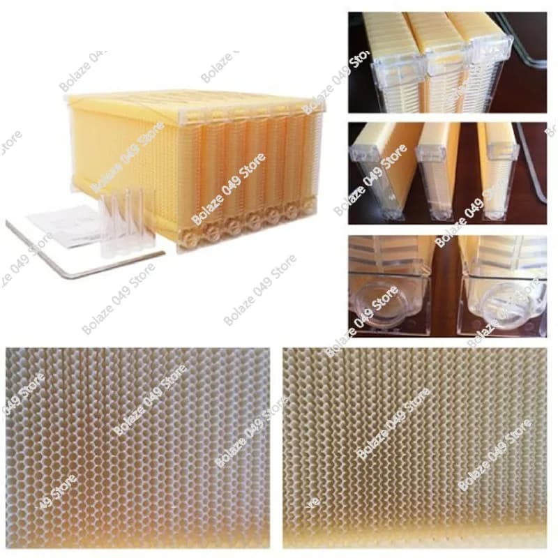 Strumenti per Apicoltura Più Venduti, Telaio per Arnia in Plastica con Fondamenta a Nido d'Ape per Raccolta Automatica del Miele