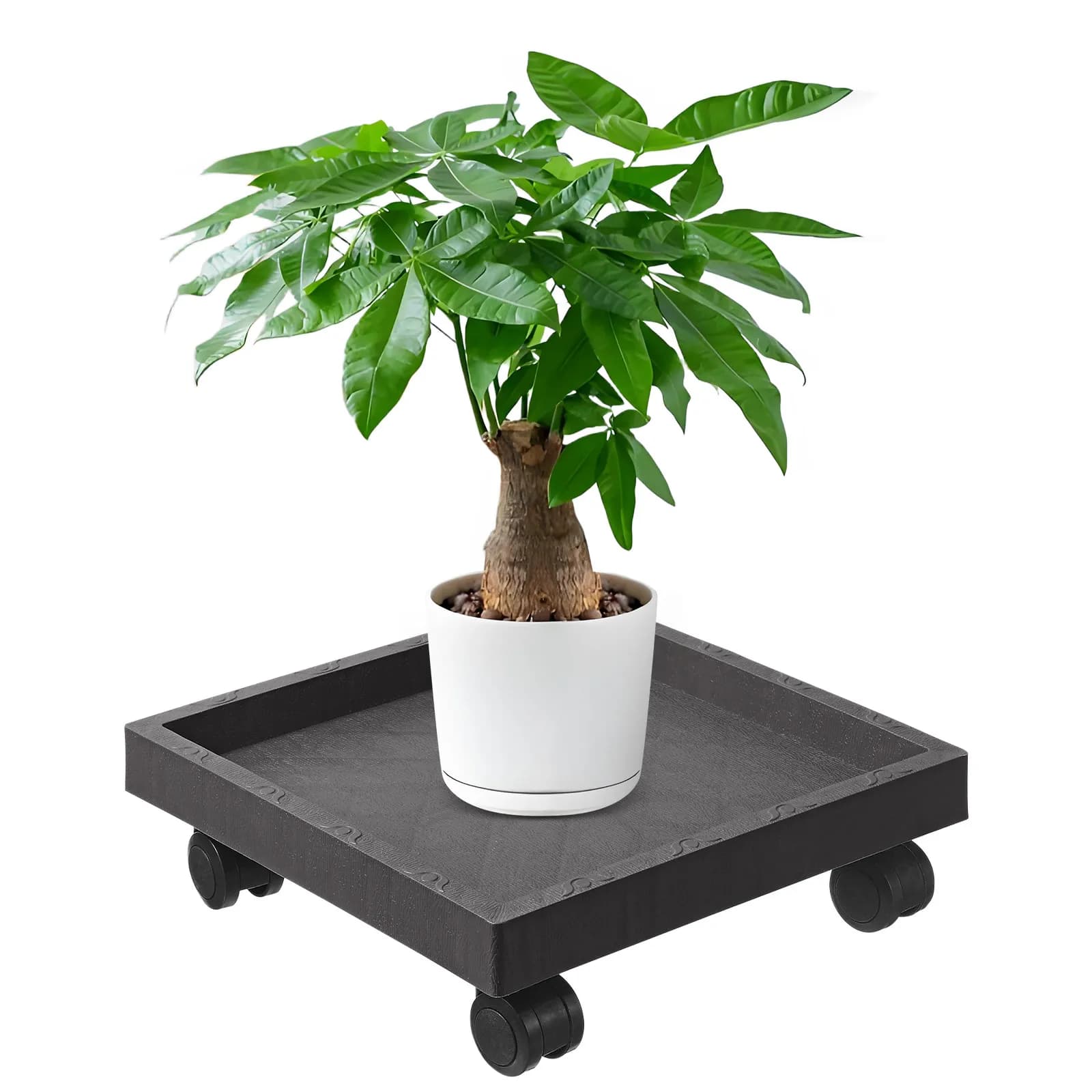 Flower Tray in Plastic Reinforced, Stable for Interior and Exterior, Platform with Wheels for Garden Plants and Patio