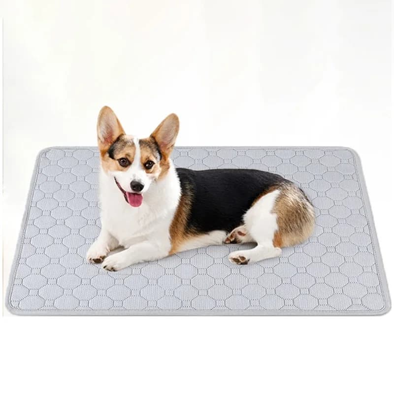 Tappetino Lavabile per Animali Domestici a 4 Strati 50x70cm, Riutilizzabile, Traspirante, Facile da Pulire, per Gatti e Cani di Taglia Media