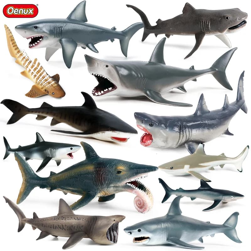 Oenux Animali dell'oceano Action Figures Sealife Shark Whare Megalodon Modello Figurine PVC Decorazione della casa Giocattolo educativo cognitivo per bambini