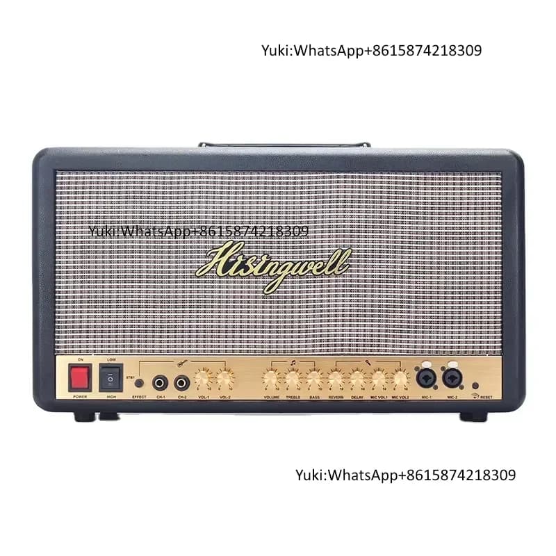 Xtuga MS06 Portable Home Amplifier Active Audio System Karaoke Machine for Outdoor Parties and Guitar Usage