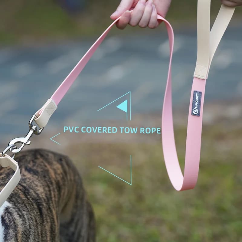 Set Collare e Guinzaglio per Cani in PVC Impermeabile alla Moda, Collare Regolabile per Cani di Taglia Media e Grande