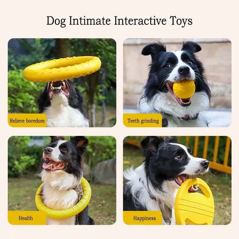 4 In 1 EVA Pet Play Kit Includes Flying Disc Ball Pull Rope Wear Resistant Chew Toy Set Teeth Cleansing Interactive Supplies