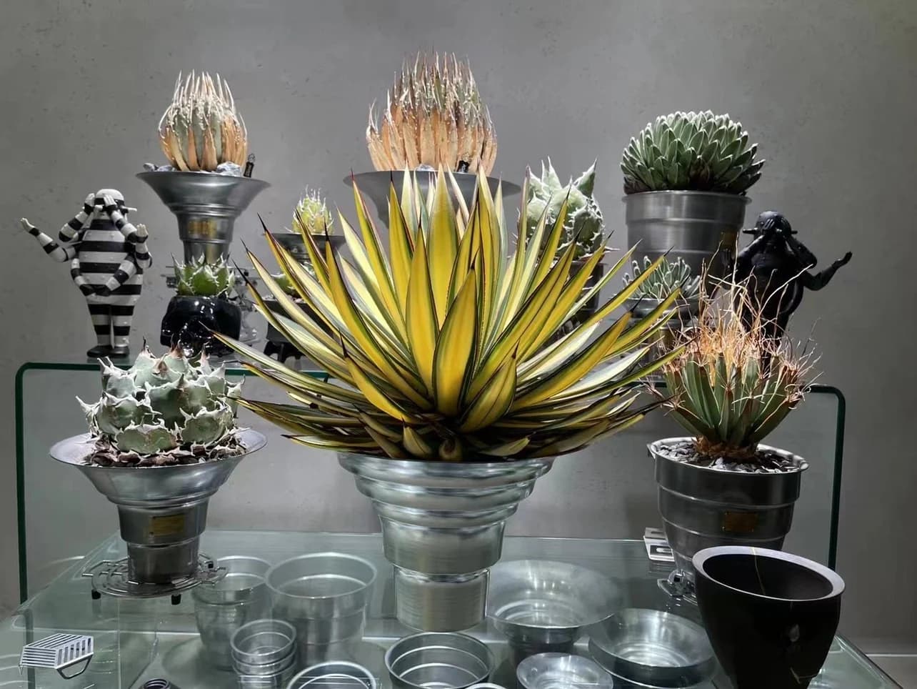 Streetwear radice pianta vaso da fiori cactus corno di metallo tubo dritto pianta succulenta