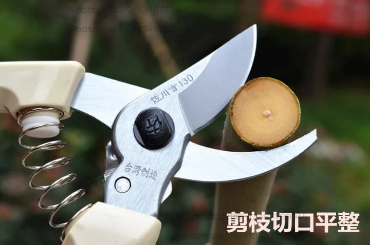 130 cesoie orticoli importate da Taiwan, potatura, alberi da frutto, potatura, bonsai, cesoie spesse