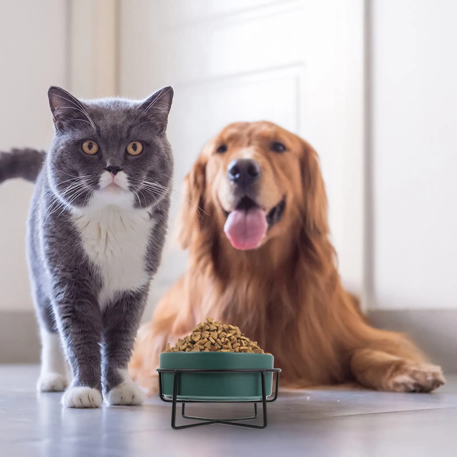 Set di 1 Ciotola per Gatti in Ceramica con Supporto, Superficie Liscia Anti-Rovesciamento, Lavabile, Set per Mangiare e Bere per Animali Domestici