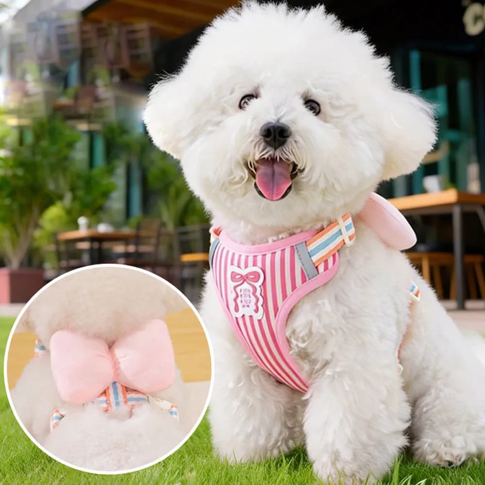 Dog Harness and Leash with Cute Bow, Vest Harness for Small Medium Dogs Anti-escape Cat Harness for Outdoor Walking Pet Supplies