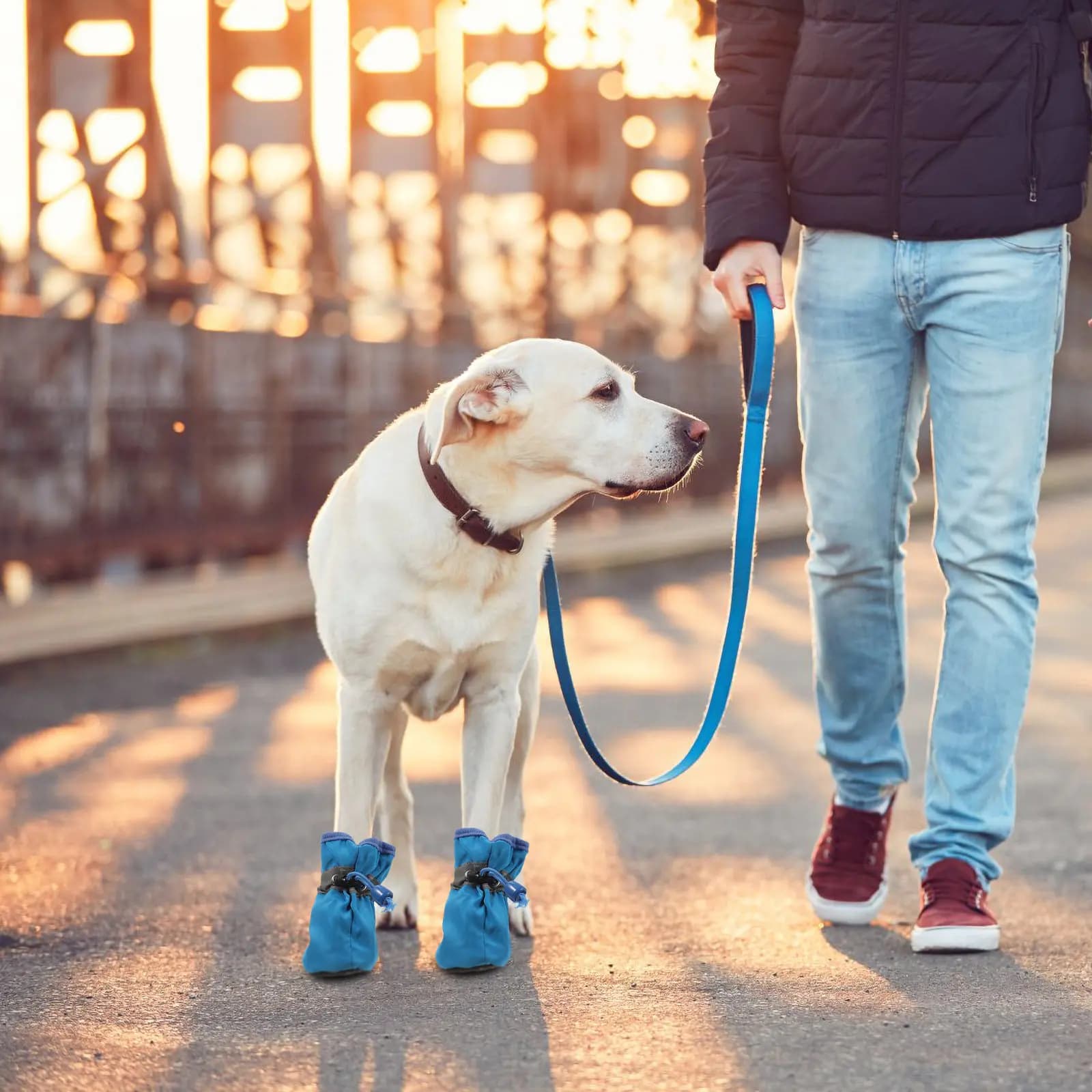 4Pcs Waterproof Dog Boots Anti Slip Soles for Small Medium Dogs Pet Shoes Outdoor Hiking Running Snow Sand Protection Dry Clean