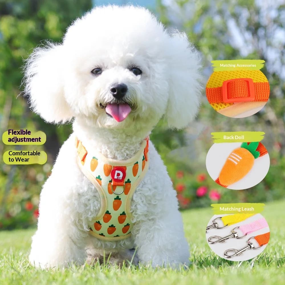 Guinzaglio per cani - stampa frutta, anti-trazione, confortevole, regolabile, elegante, pettorina per cani, catena per cani, accessori per animali domestici, collare per cani