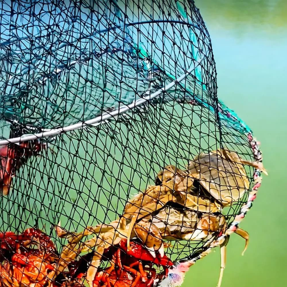 Folding Steel Fishing Net Trap Cage Durable Mesh Gear For Catching Lobster Crab Shrimp Fish Outdoor Fishing Tackle