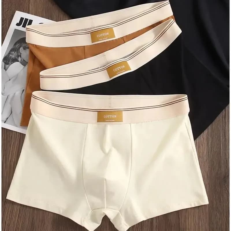 3 pezzi intimo da uomo Hombre mutandine boxer comodi biancheria intima di cotone traspirante biancheria intima sexy boxer tinta unita
