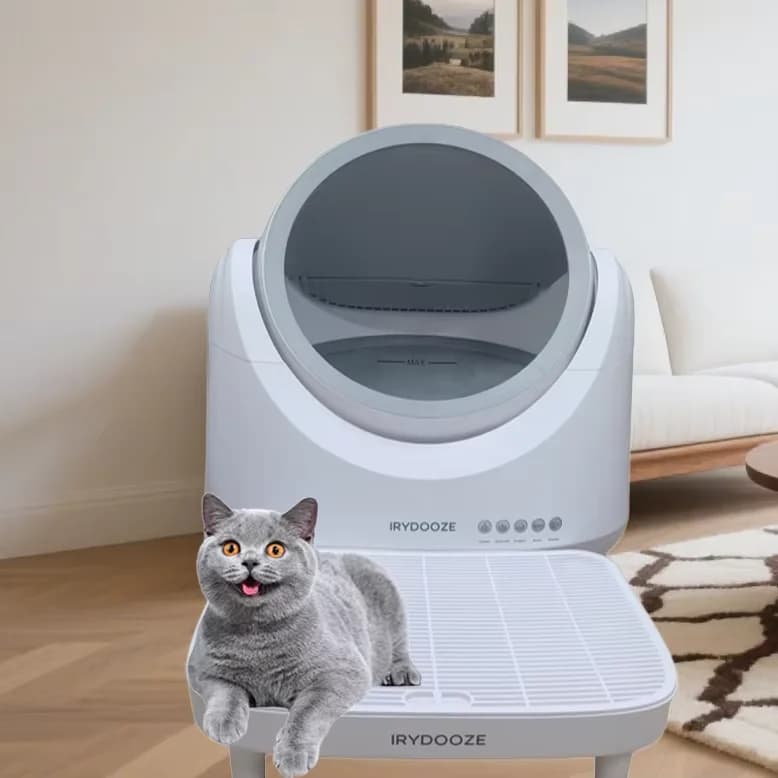 Lettiera per gatti intelligente automatica deodorante dal design aperto grande toilette per gatti autopulente silenziosa e intelligente