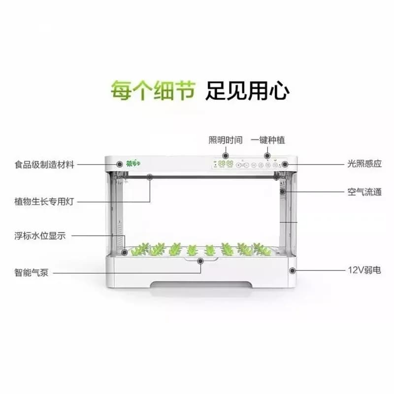 Groundless domestic gardening kit for growing internal sprouts for green fresh salads Starting kit of hydroponic seeds with trays