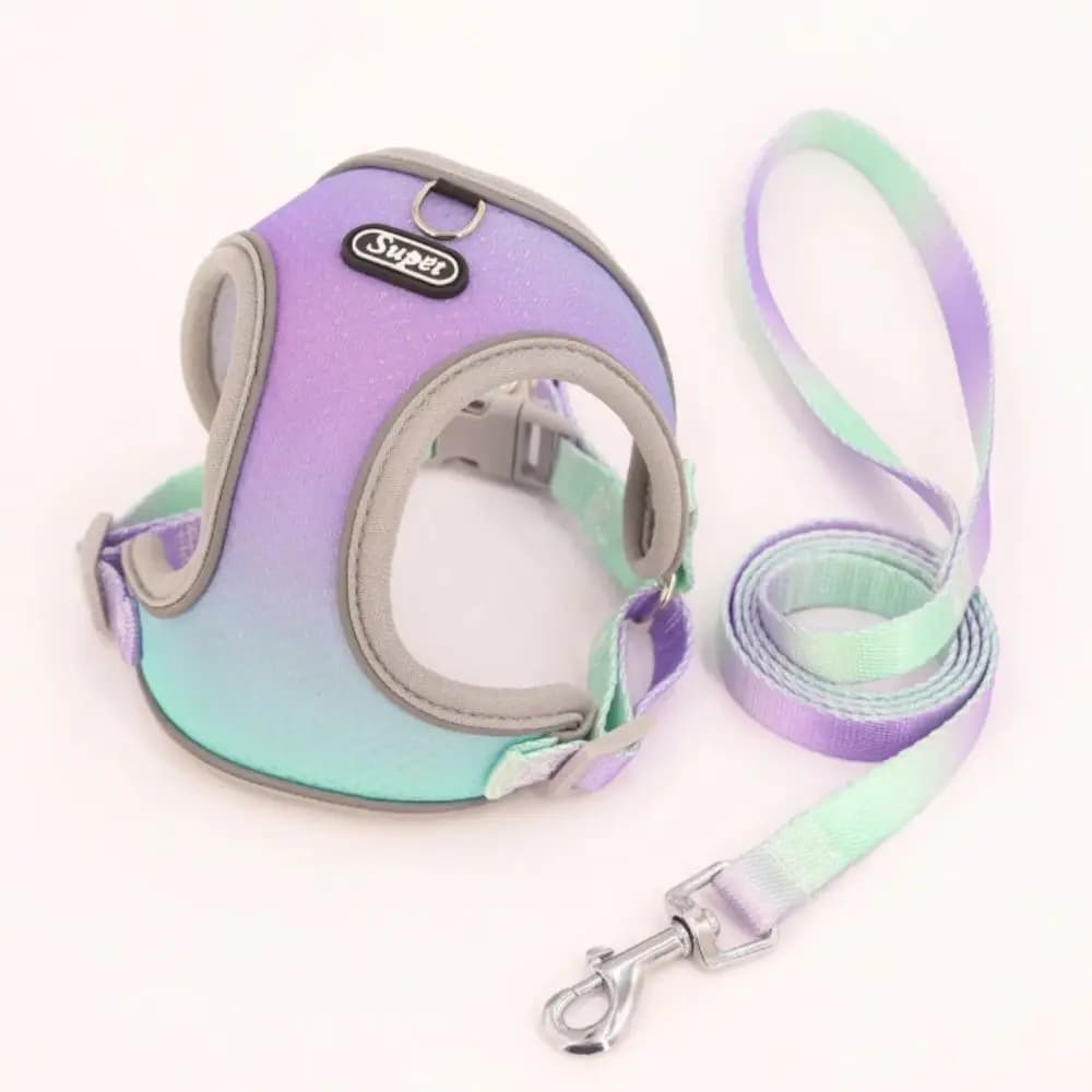 Gilet per imbracatura per cani in colore sfumato con cinghia riflettente Guinzaglio per cani regolabile sul petto del cane Guinzaglio da passeggio per cani traspirante universale