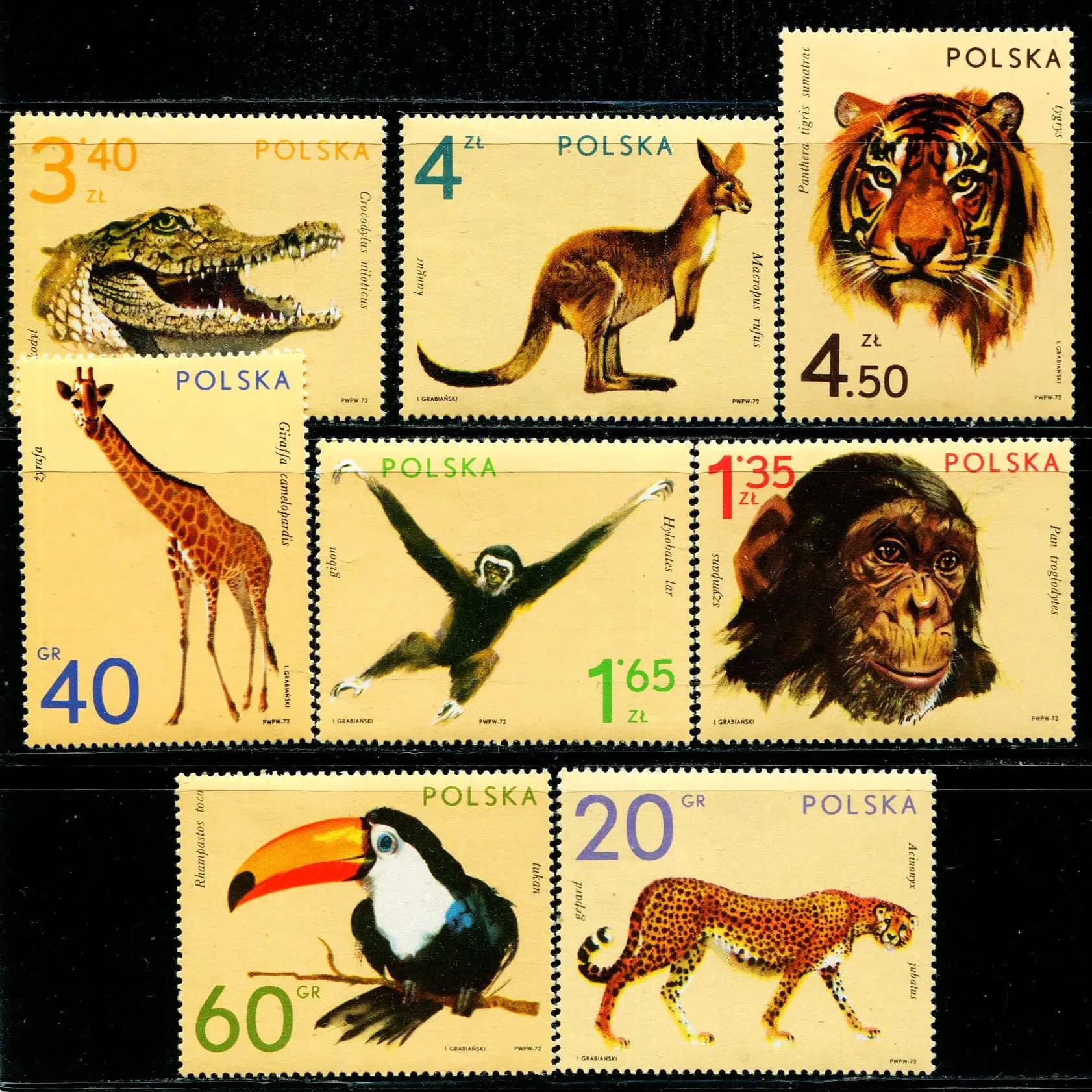 All New Polish Stamp Year 1972 Zoo Animal Hornbill Giraffe Tiger Full Set 8 Collectible Postage Stamps Material For Scrapbooking